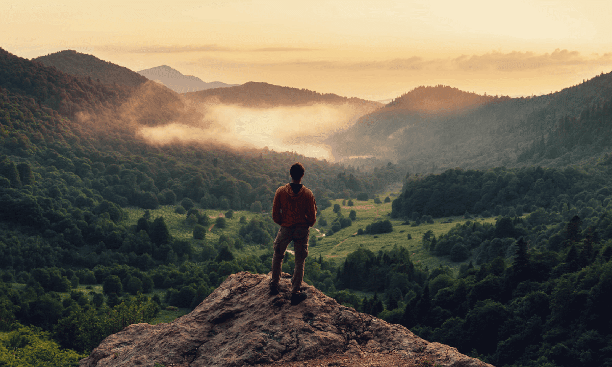 AdobeStock_121008469-scaled-1