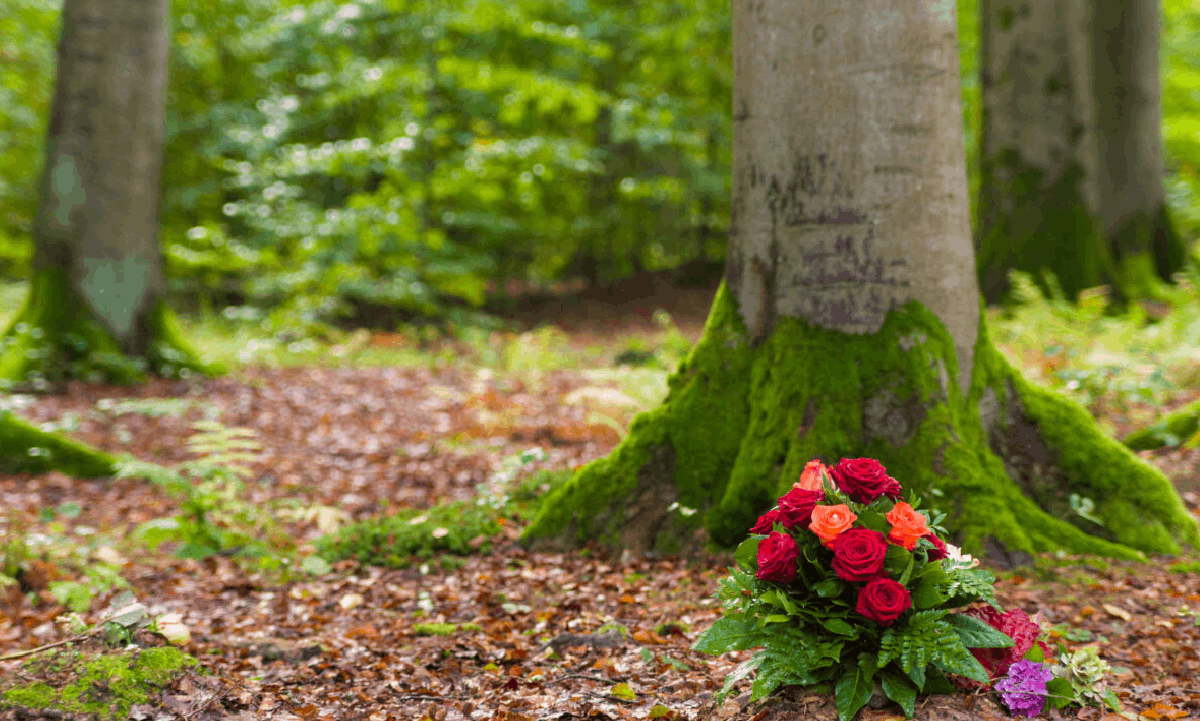 AdobeStock_123047713-1200×800-1