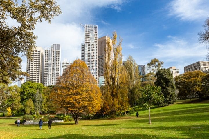 Domain_Neighbourhood_East_Melbourne-26_d7ls7k